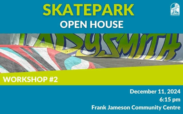 Skatepark Open House 2